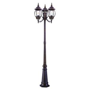 Acclaim Lighting Brown Chateau Outdoor Lantern and Post