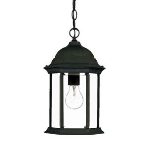 Acclaim Lighting Madison 14.00-in x 8.00-in Matte Black 1 Light Hanging Outdoor Lantern