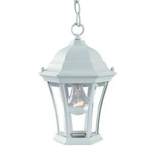 Acclaim Lighting Bryn Mawr 12.25-In x 8.00-In Textured White 1 Light Hanging Outdoor Lantern