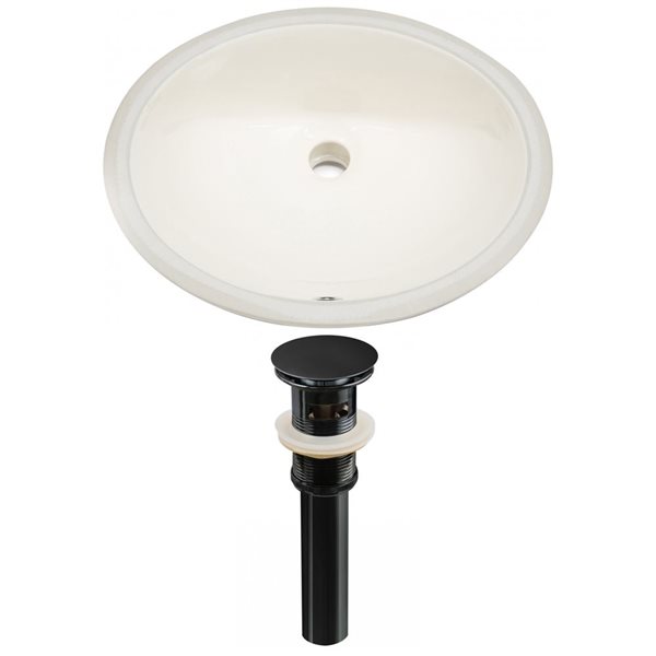 American Imaginations 19.5-in Ceramic Biscuit Undermount Sink Set