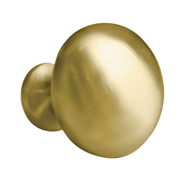 American Imaginations 1.25-in Round Cabinet Knob (Brass Gold)