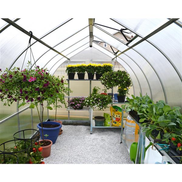 Canopia by Palram 8-ft x 12-ft Polycarbonate Greenhouse