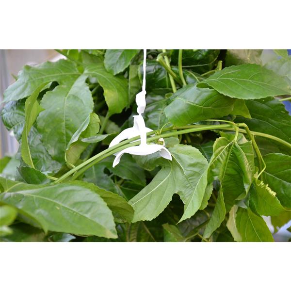 Canopia by Palram Greenhouse Trellising Kit