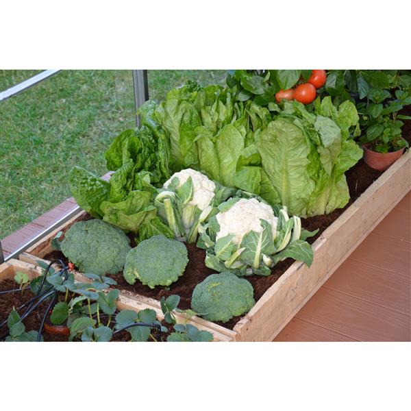 Canopia by Palram Greenhouse Drip Irrigation Kit