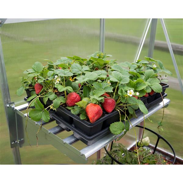 Canopia by Palram Greenhouse Heavy Duty Shelf Kit - 40 lb