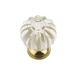 Richelieu Montreuil Eclectic Brass and Acrylic Knob,BP403511