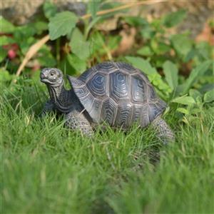 Hi-Line Gift Ltd. Small Tortoise Statue,87761-S