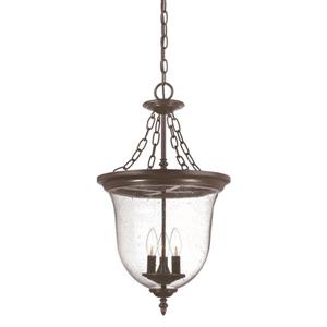 Acclaim Lighting Belle Outdoor Lantern - 3 Lights - Bronze