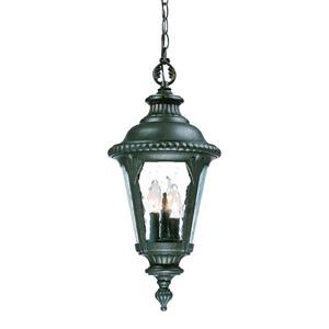 Acclaim Lighting Surrey Outdoor Lantern - 21.75" - 3 Lights - Black