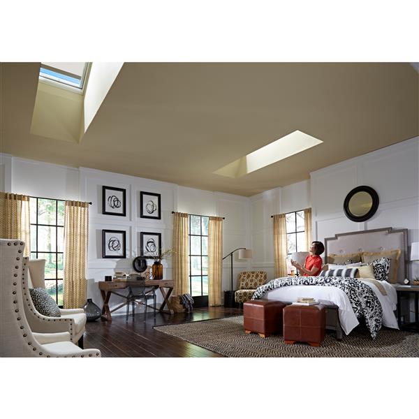 VELUX Fixed Curb Mount Skylight - Laminated - 22.5-in x 34.5-in