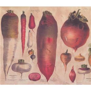 Retro Art Vegetable Wallpaper - Beige
