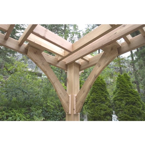 Outdoor Living Today BZ1012 10-ft x 12-ft Cedar Breeze Pergo