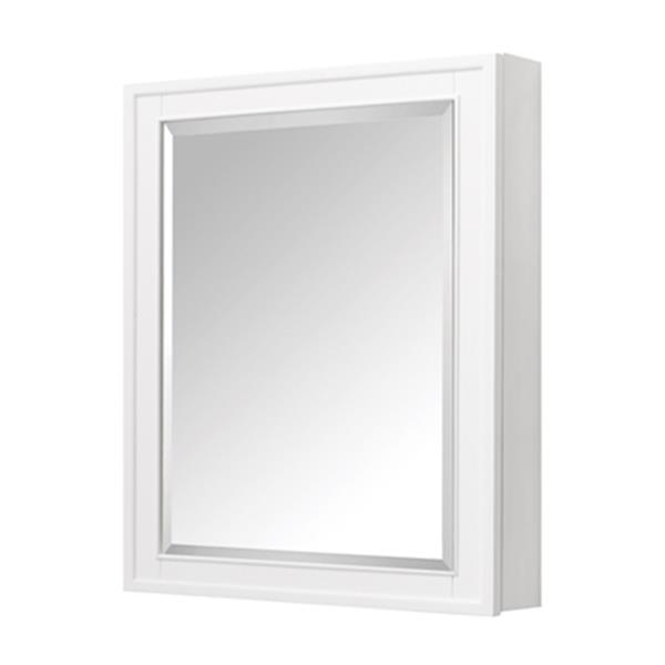 Avanity Madison Mirror Medicine RONA