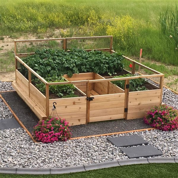 Outdoor Living Today 8-ft x 8-ft Western Red Cedar Raised Garden Bed