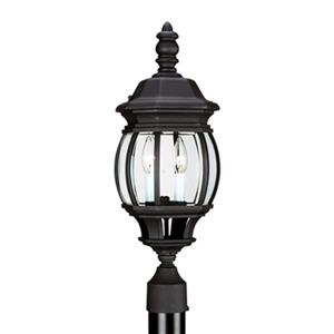 Sea Gull Lighting Wynfield 2-Light LED Outdoor Post Lantern