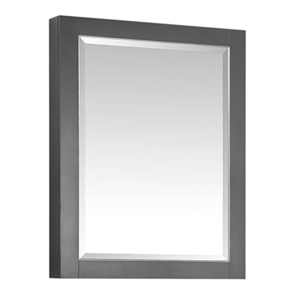 Avanity 22-in Allie/Austen Mirror Cabinet-170512-MC22-TGS