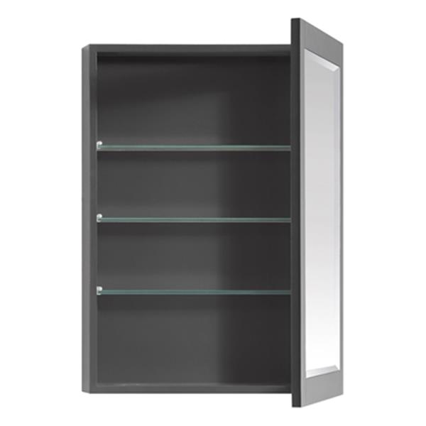 Avanity 22-in Allie/Austen Mirror Cabinet-170512-MC22-TGS