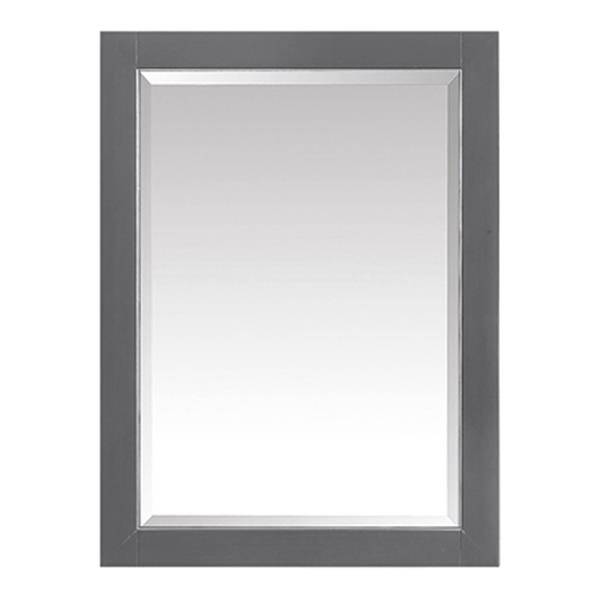 Avanity 22-in Allie/Austen Mirror Cabinet-170512-MC22-TGS