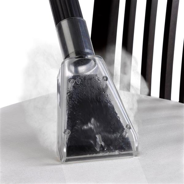 rona steam cleaner rental