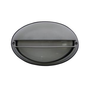 Luminaire extérieur Whitfield à 1 lumière, étain brossé