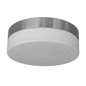 Whitfield Lighting Flush Mount Light - 2 Lights - 11-in x 3.5-in - Satin Steel