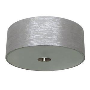 Plafonnier à 2 lumières Modena de Whitfield, 14 po x 5 po, gris acier