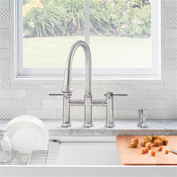 BLANCO Empressa Pull-Down Faucet - Chrome