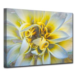 Ready2HangArt Painted Petals Canvas Wall Décor - 40-in x 30-in - Yellow