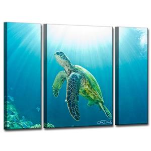 Ens. d'art mural sur toile, tortue de mer, 40", bleu, 3 mcx