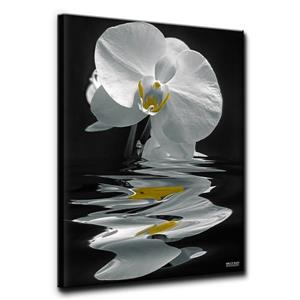 Décoration murale, orchidée blanche, 30", blanc