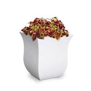 Mayne Valencia  Planter - 16-in x 16-in x 18-in - Plastic - White