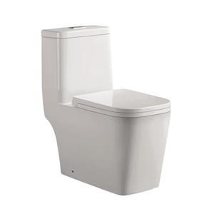 Toilette monobloc Annabelle en céramique blanche