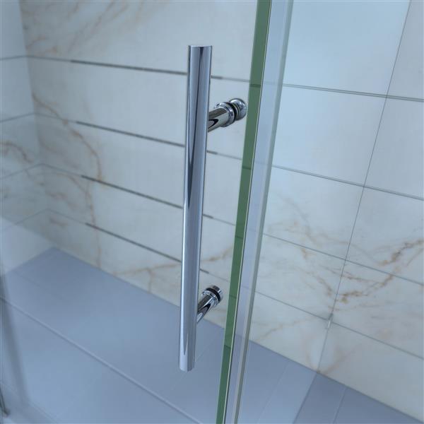 Dreamline Enigma Shower Door 60 In X 79 In Stainless Steel