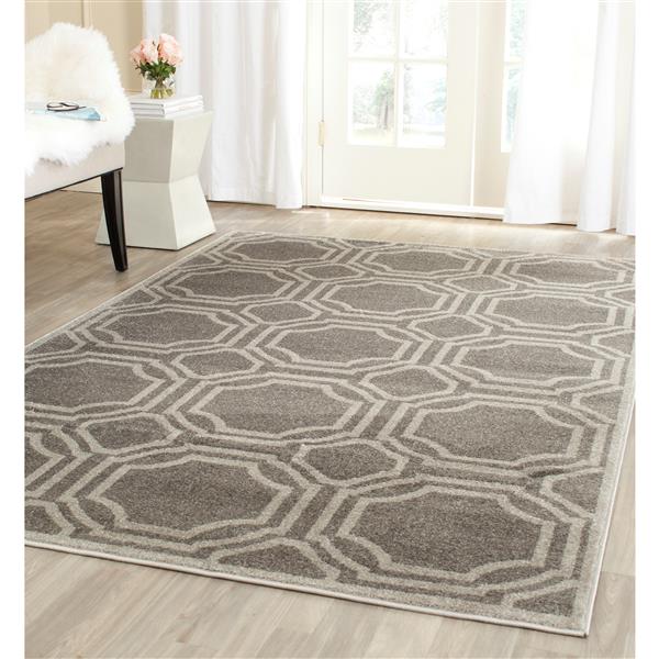 Safavieh Amherst Geometric Rug - 4-ft x 6-ft - Gray