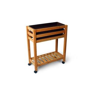 Ergogarden Self-Watering Elevated Garden Bed with Wheels