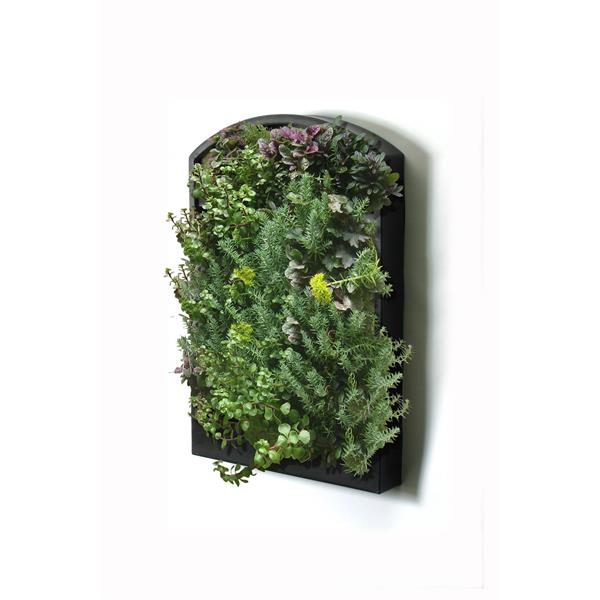 Algreen Products Greenwall Vertical Living Wall 100 Recycled Black 33303 Rona - Living Wall Planter Canada