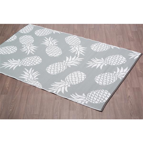 Erbanica Pineapples Outdoor Plastic, Recycled Plastic Outdoor Patio Rugs