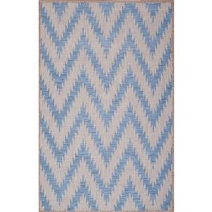 Erbanica Indoor-Outdoor Polypropylene Rug - Blue/Grey - 8' x 10'