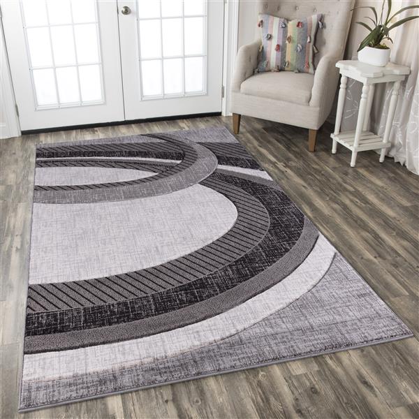 Segma Chica Area Rug 8 Ft X 11 Polypropylene Gray Sf 9473