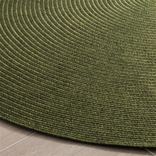SAFAVIEH Braided Calvin Solid Shades Area Rug, Green, 5' x 5' Round 