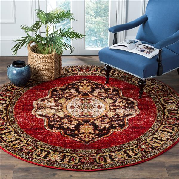 Safavieh Vintage Hamadan Round Rug - 5-ft 3-in x 5-ft 3-in - Multicoloured