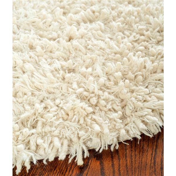 Safavieh 3D Solid Rug - 3-ft x 5-ft - Wool - Ivory