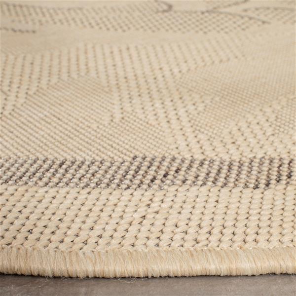 Safavieh Courtyard Border Rug - 5-ft 3-in x 5-ft 3-in - Natural/Brown