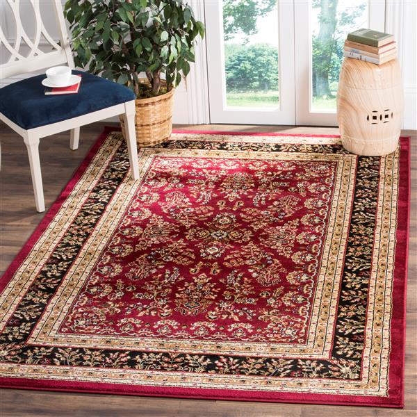 Safavieh Lyndhurst Decorative Rug - 4-ft x 6-ft - Red/Black