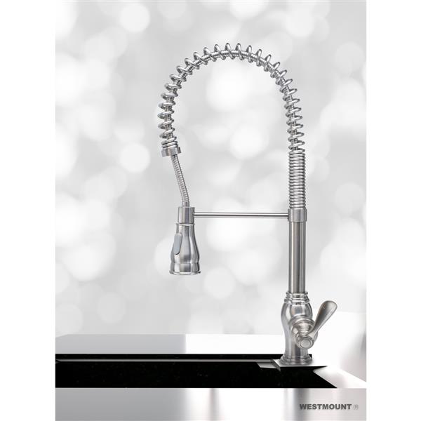 Westmount Denver Kitchen Faucet Pull Down Spray Brushed Nickel Ww82h05 Bn Rona