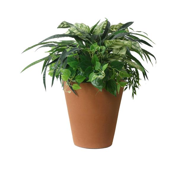 Algreen Products Olympus Self-Watering Planter - 16.5-in x 16-in - Terracotta