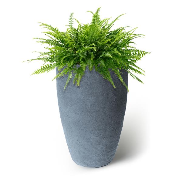 Algreen Products Athena Self-Watering Planter - 28.5-in x 17.5-in - Charcoal