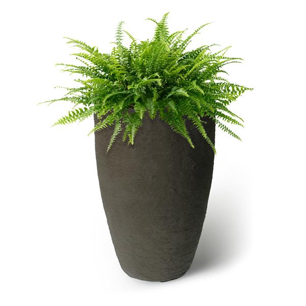 Algreen Products Athena Self-Watering Planter - 20-in x 12.6-in - Brown