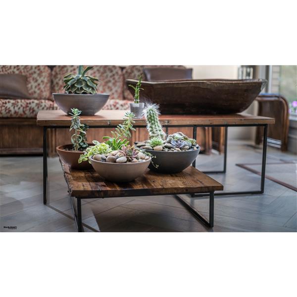 Algreen Products Valencia Bowl Planters - 12-in x 4.75-in - Chocolate - 2 pcs