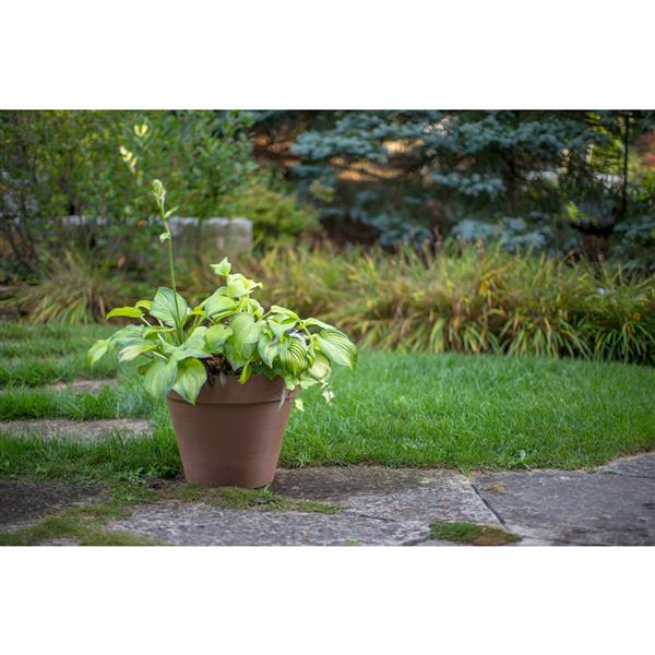 Algreen Products Valencia Round Planter - 14-in x 12-in - Composite - Terracotta